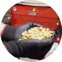 Bolitas ventajas landing (1)