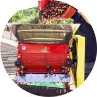 Bolitas ventajas landing Bolitas ventajas landing